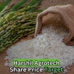 Harshil Agrotech share price target