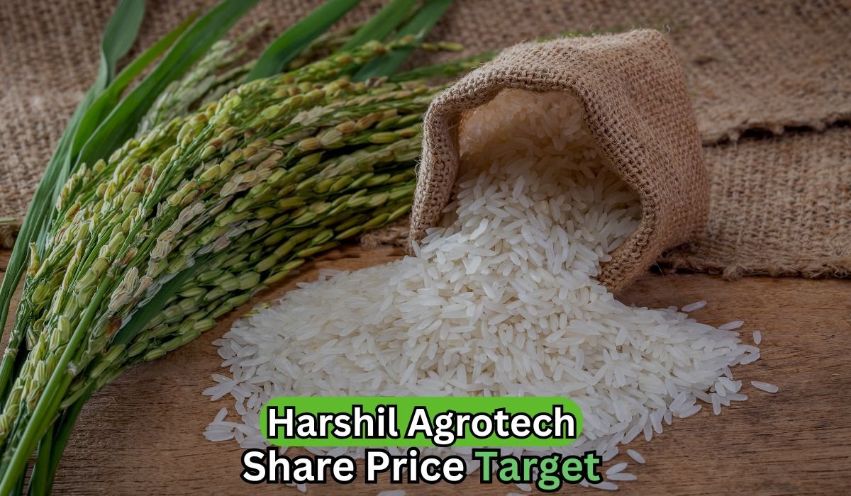 Harshil Agrotech share price target