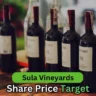 Sula Vineyards share price target 2025 to 2050