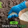 nfl share price target 2025 to 2050