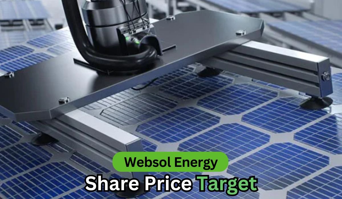 Websol Energy share price target 2025 to 2050